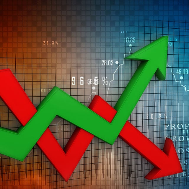 Fixed Income Investors Should 'Brace for More Downside Volatility': Neuberger Berman