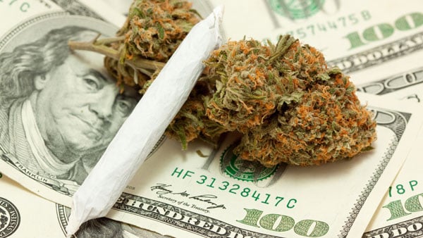 Is Investing in Cannabis a Conservative Move or a Risky One?
